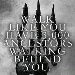 Meet your Posher, Steve